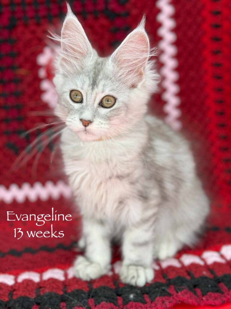 Evangeline