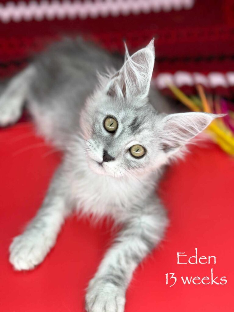 Eden